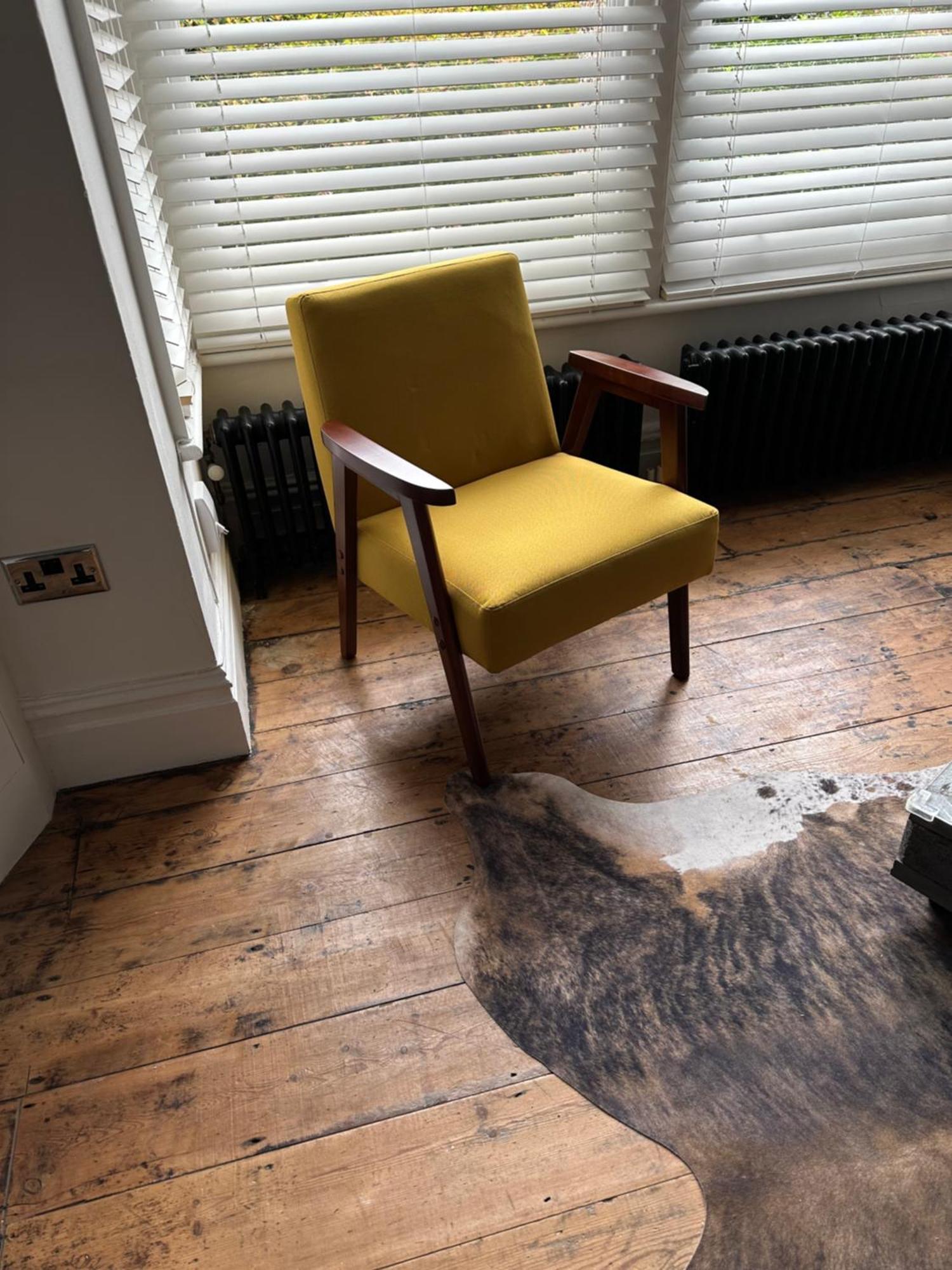 Quirky Spacious Ground Floor Victorian Garden Flat Apartment Worthing